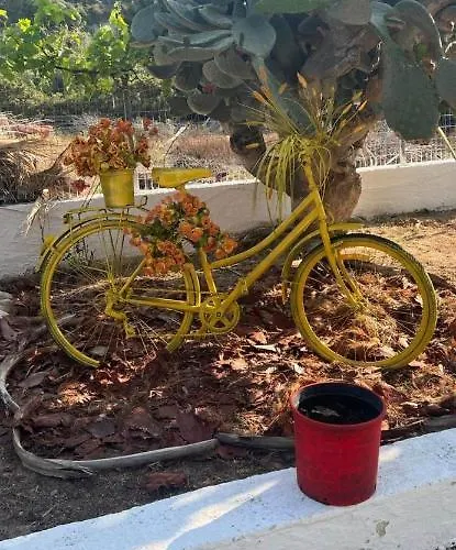 Apartment Manolis&xenia *